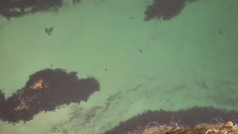 Aerial topdown view of rocky intertidal coast, Isle of Gigha, Scotland Stock Footage 336507239