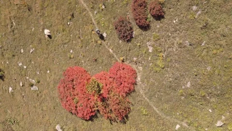 Aerial topo down view of man hiking alone on alpine meadows in high caucasu.. Vídeo Stock 287104396