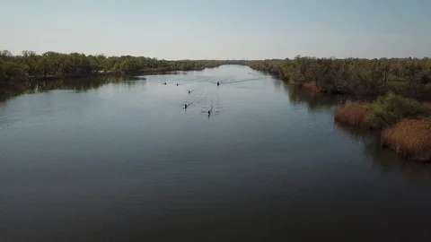 Aerial Of Tourists Rowing On River Stock Footage 119824760