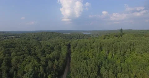 Aerial towars Hidden Cell Tower revealing cottages behind it Stock Footage 54568203
