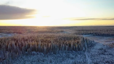 Aerial, tracking, drone shot, over snowy forest, revealing the HAARP Stock Footage 123177859