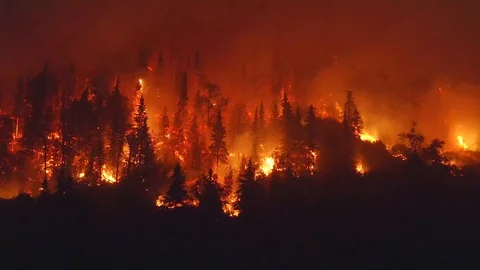 Aerial, tracking, drone shot, overlooking forest in flames, Alaskan Stock Footage