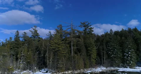 Aerial Tracking By Forest Pine Trees In Winter With Clouds Moving By In Blue Sky Video stock 162147066