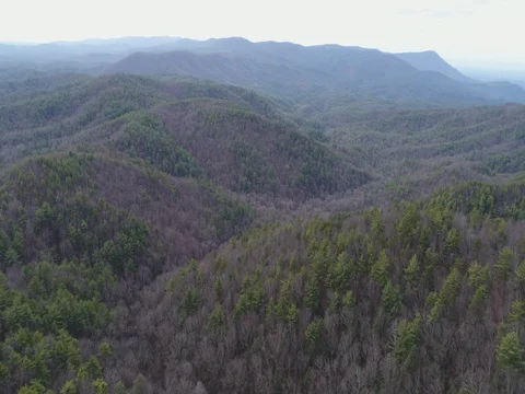 Aerial tracking of forested north Georgia mountains Stock Footage