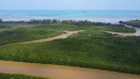 Aerial Tracking of a Jungle River Heading to an Ocean Bridge and Island Stock Footage 342225947