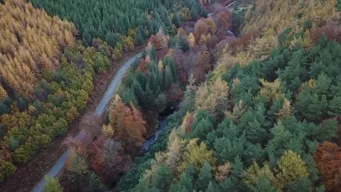 Aerial Tracking Laneway &amp; River, Cloughlea, County Wicklow with Autumn Color Stock Footage 165295590