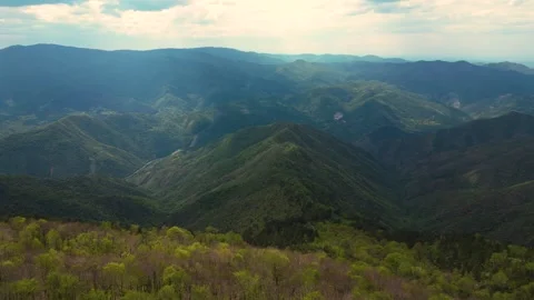 Aerial tracking left over treetops revealing epic layered mountain range Serbia Stock Footage 342240957