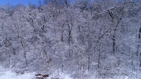 Aerial Tracking Left to Right - Snow Covered Trees Video stock 92001298