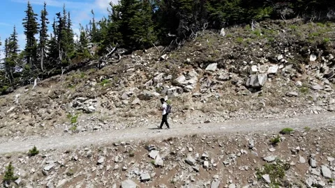 Aerial Tracking of Man Hiking Down a Mountain with Trees, 2.7K 60 FPS Stock Footage 146560244