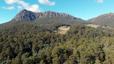 Aerial tracking mountain peak surrounded by forest and scattered pastures Stock Footage 154488043