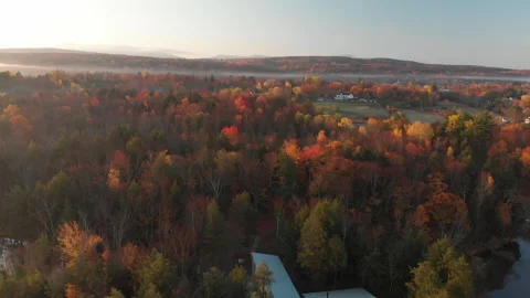 Aerial tracking over fall forest colors village Stock Footage 169222775