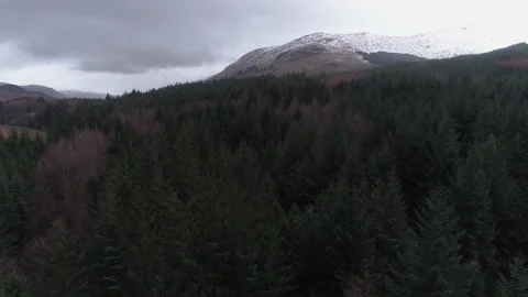 Aerial Tracking Over Forest in front of Snow Covered Scottish Mountain Ben More Stock Footage 107314096