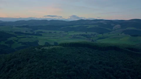 Aerial tracking over pine forest plantation in New Zealand Stock Footage 155443861
