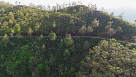 Aerial Tracking of Red Bus Taking Steep U-Bend on Mountain Tea Estate Road Stock Footage 322187639