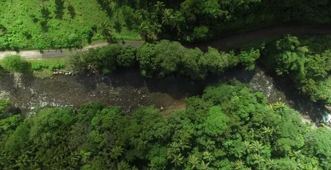 Aerial tracking the Rosalie River out towards the coast of Dominica Stock Footage