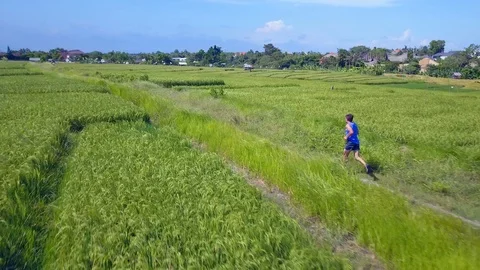 Aerial tracking on runner man doing running workout in nature background Stock Footage 88311377