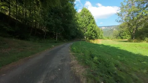 Aerial Tracking Shot Along Forest Path With Lake Glimpse Stock Footage 341830107