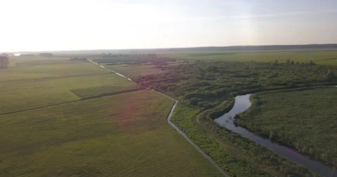 Aerial tracking shot along rivers among wetlands during a summer afternoon Stock Footage