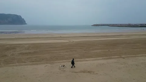 Aerial tracking shot of distant man with dog Stock Footage 244569933