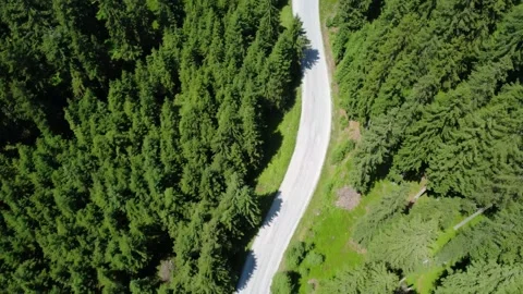 Aerial Tracking Shot of an Empty Winding Road Through Dense Green Alpine Fo.. Stock Footage 333627663