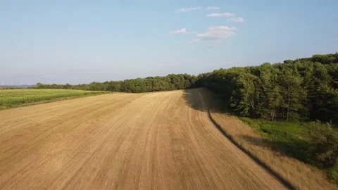 Aerial Tracking Shot of a Field That Ends With Windmills in the Horizon Stock Footage 158442598