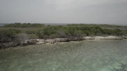 Aerial tracking shot gliding over turquoise sea water and tropical mangrove Stock Footage 347128413