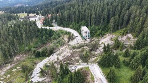 Aerial tracking shot of massive landslide path through mountain pine forest Stock Footage 340612784