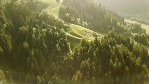 Aerial tracking shot of mountain forest landscape with path Stock Footage 118595247