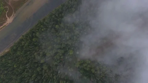 Aerial tracking shot of mountain river flowing between the mountains covered Vídeo Stock 75480636