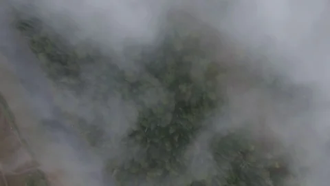 Aerial tracking shot of mountain river flowing between the mountains covered 스톡 동영상 75481326