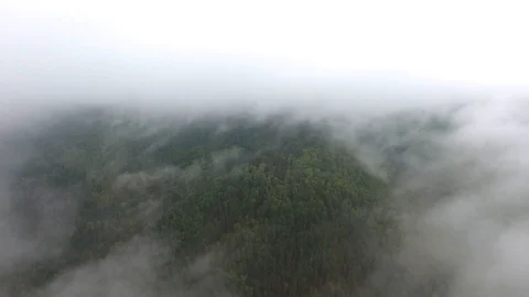 Aerial tracking shot of mountain river flowing between the mountains covered Stock Footage 87035591