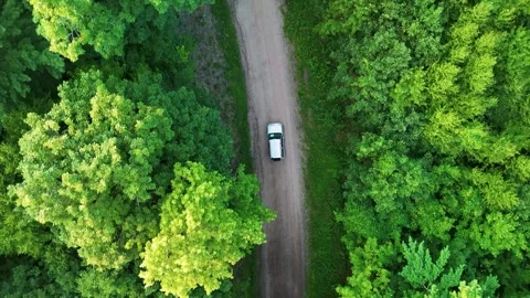 Aerial tracking shot of a silver car driving through a dense green forest... Stock Footage 341894282