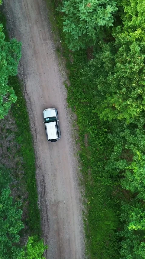 Aerial tracking shot of a silver car driving through a dense green forest... Vídeo Stock 344332656