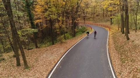 Aerial tracking shot of two cyclists riding through a forest in autmn Stock Footage 113045031