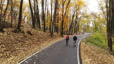 Aerial tracking shot of two cyclists riding through a forest in autmn Stock Footage 113045141
