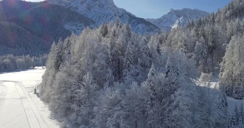 Aerial Tracking Shot Of The Valley With Pine Tree Forest Stock Footage 70989649