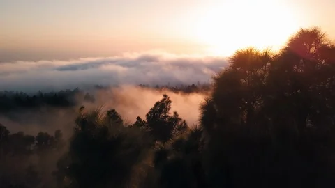 Aerial Tracking Through Pine Forest Clouds at Sunset Remote Island 4K Video stock 101110892