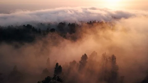 Aerial Tracking Through Pine Forest Clouds at Sunset Remote Island 4K Video stock 101114586