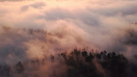 Aerial Tracking Through Pine Forest Clouds at Sunset Remote Island 4K Video stock 101115042