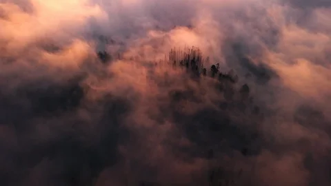 Aerial Tracking Through Pine Forest Clouds at Sunset Remote Island 4K Video stock 101116764