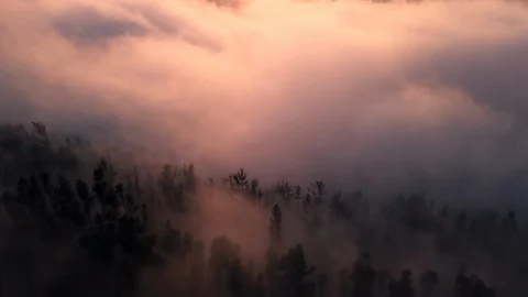 Aerial Tracking Through Pine Forest Clouds at Sunset Remote Island 4K Video stock 101118550