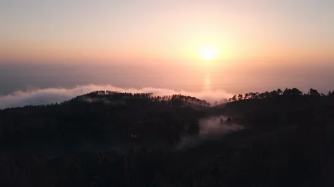 Aerial Tracking Through Pine Forest Clouds at Sunset Remote Island 4K Video stock 101118927