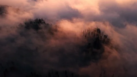 Aerial Tracking Through Pine Forest Clouds at Sunset Remote Island 4K Video stock 101119292