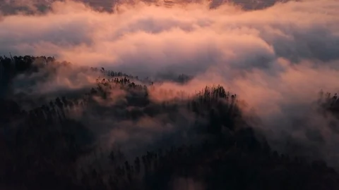 Aerial Tracking Through Pine Forest Clouds at Sunset Remote Island 4K Video stock 101119347