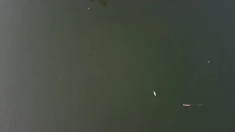 Aerial tracking view of a plastic bottle floating on a dirty river or ocean. Stock Footage 230208814
