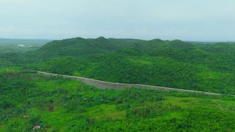 Aerial tracking of a winding paved road bordered by thick green jungle hills and Stock Footage 324097215