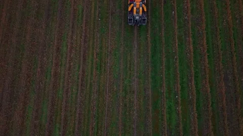Aerial Tractor Moving Through Vineyard Rows in Cromwell, New Zealand Stock Footage 337952526