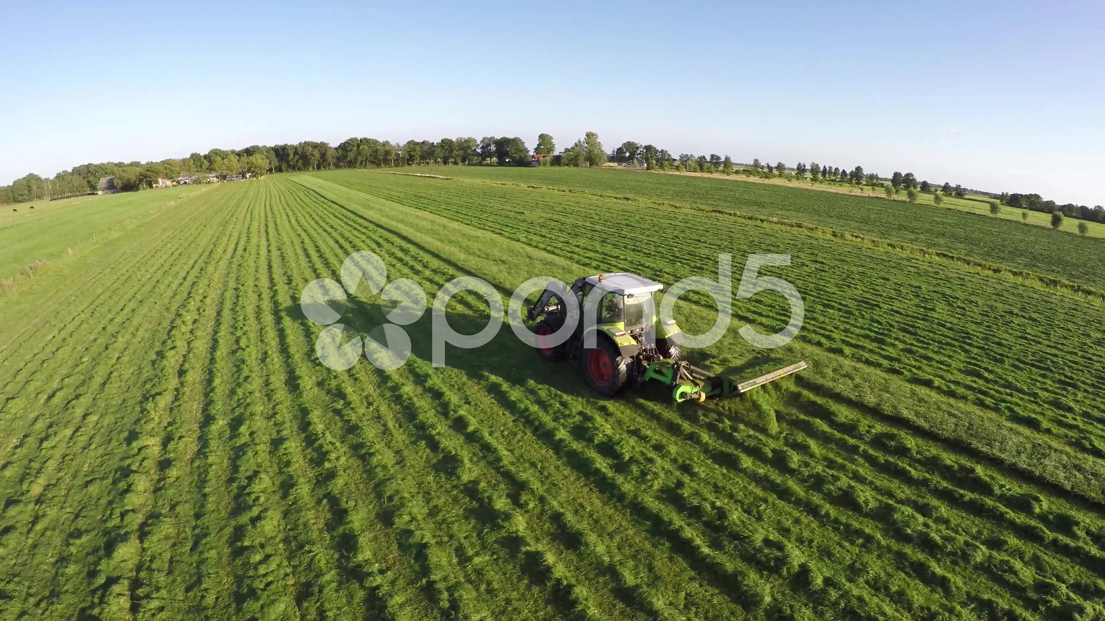 Tractor mowing online grass