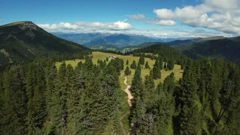 Aerial Trail Through Dense Pine Forest Opening To Sunny Alpine Meadow And Stockbeeldmateriaal 323979717