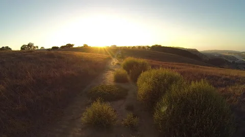 AERIAL: Trail Through Tall Grass at Sunset Video stock 68821359